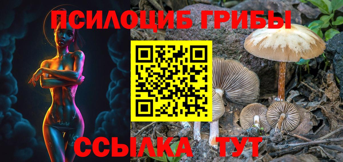 Галлюциногенные грибы ЛСД  Галлюциногенные грибы мухоморы  Вышний Волочёк  купить закладку  Вход с VPN 