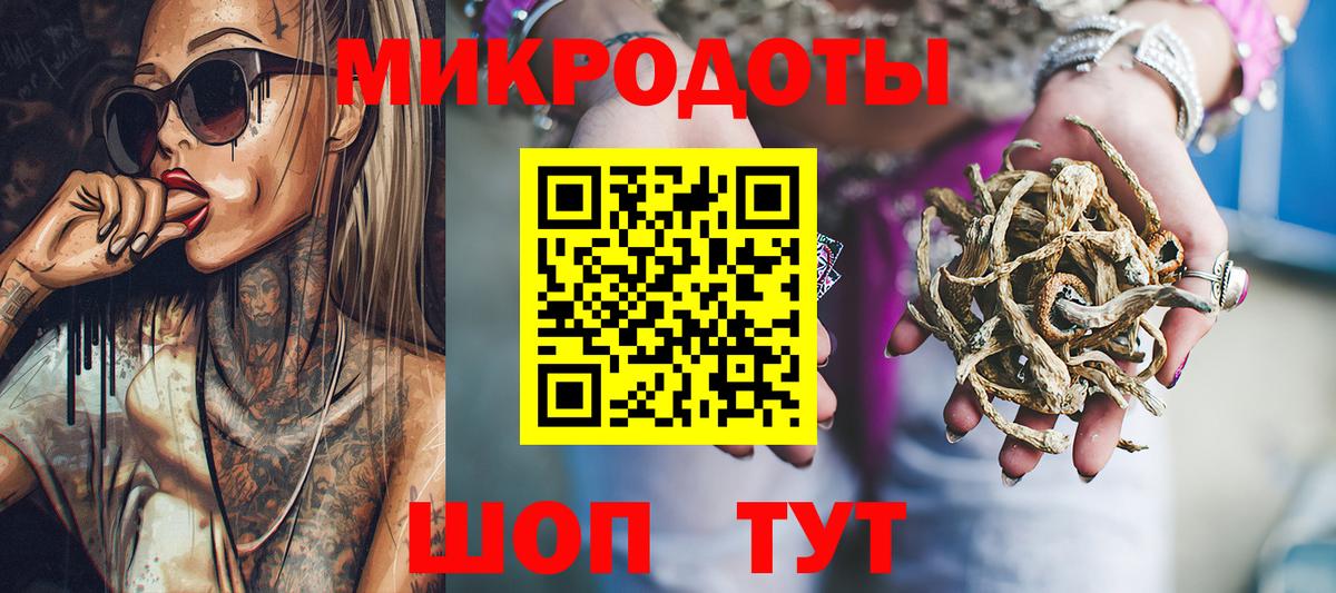 Псилоцибиновые грибы Psilocybe Вышний Волочёк